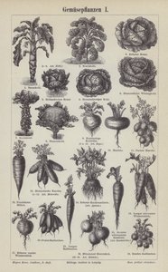 Vegetables
