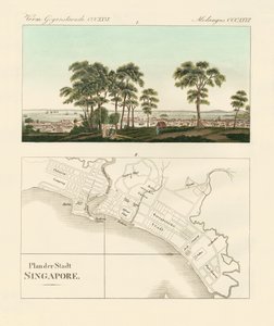 View and map of the East Indian establishment Singapore by German School