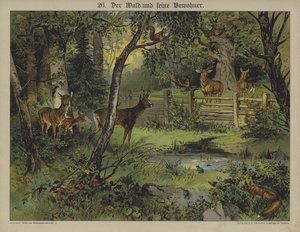 Wildlife by German School