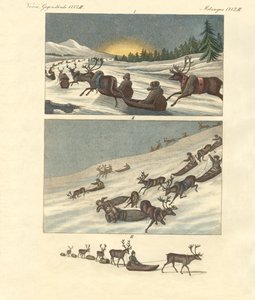 Winter trips in Lapland by German School