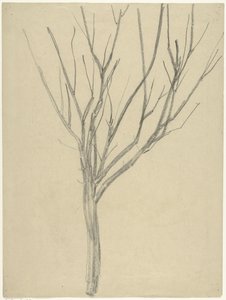 Bare Tree by Gerrit Willem Dijsselhof