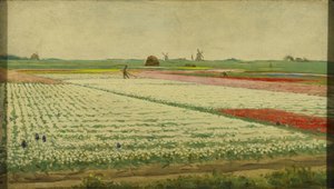 Tulip Fields by Gerrit Willem Dijsselhof