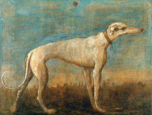 The Italian Sighthound by Giambattista Tiepolo