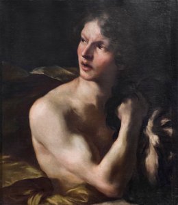 David by Gian Lorenzo Bernini