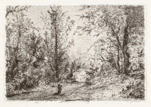Forest on Lago Maggiore by Giberto Borromeo
