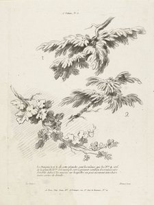 Study of Three Branches with Leaves (series title: 1st Landscape Book) by Gilles Demarteau