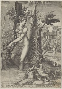 Venus and the Rose by Giorgio Ghisi