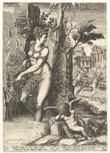 Venus Pricked by the Thorns on a Rose Bush, in the Background Mars Chasing Adonis