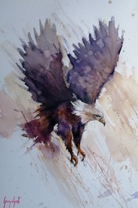 Dynamic Eagle Flight