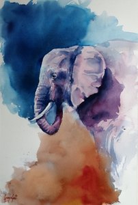Elephant Abstract Colors by Giorgio Gosti