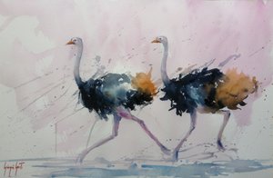 Graceful Ostrich Stride by Giorgio Gosti