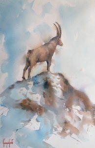 Majestic Alpine Ibex by Giorgio Gosti