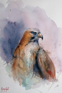 Majestic Watercolor Hawk by Giorgio Gosti