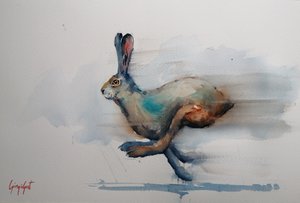 Speeding Watercolor Hare by Giorgio Gosti