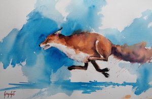 Swift Fox Sprint by Giorgio Gosti
