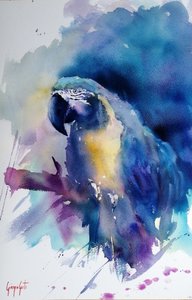 Vibrant Blue Macaw by Giorgio Gosti