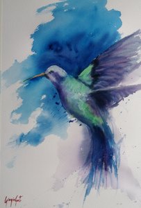 Vibrant Hummingbird Flight
