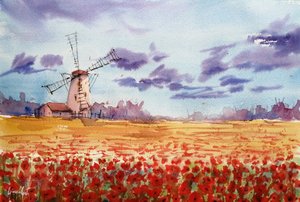 Vibrant Windmill Poppy Field