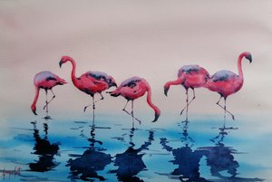 Wading Pink Flamingos by Giorgio Gosti