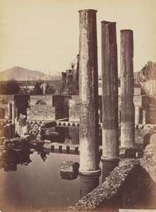 [Columns] by Giorgio Sommer