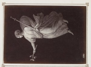 Photographic reproduction of a print, probably depicting a female figure holding a branch and a sword by Giorgio Sommer