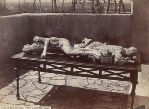 Human Casts, Pompeii