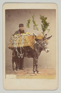 [Neapolitan Folk Scene] by Giorgio Sommer