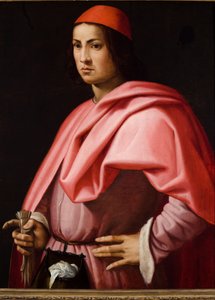 Portrait of a Florentine gentleman by Giorgio Vasari