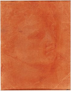 Head in Three-Quarter Profile (recto); Standing Young Man Pointing Left and Sketches of Feet, Arm (verso)