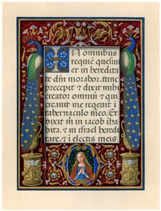 Text page with the Virgin and two peacocks, c1490 by Giovan Pietro Birago