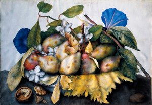 Plate of plums, jasmine and nuts. Painting on parchment by Giovanna Garzoni by Giovanna Garzoni
