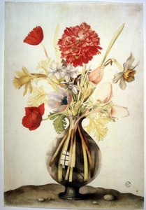 Unknown Image by Giovanna Garzoni