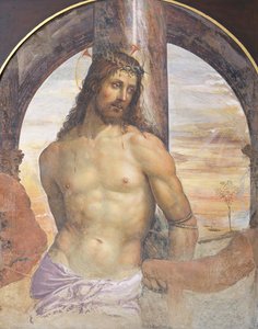 Christ at the Column by Giovanni Antonio Bazzi Sodoma