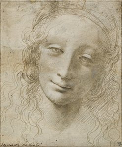 Head of a Woman