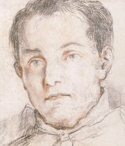 Portrait of a Young Man by Giovanni Antonio Burrini or Burino