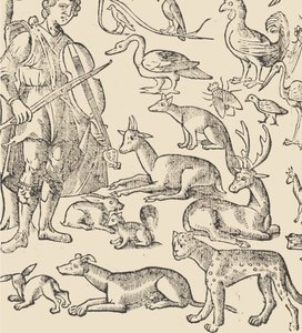 Essempio di Recammi, Page 12 Verso, 1530 by Giovanni Antonio Tagliente