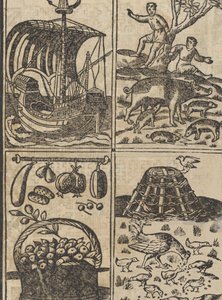 Essempio di recammi, page 9 recto by Giovanni Antonio Tagliente