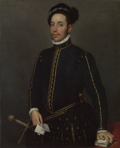 Portrait of a Gentleman