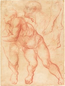 Studies of a Male Nude by Giovanni Battista Naldini