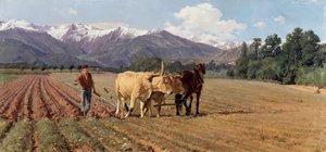 Ploughing