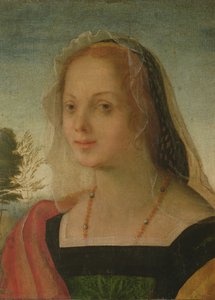 Portrait of a Young Girl