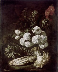 Still Life of Flowers and Vegetables by Giovanni Battista Ruoppolo