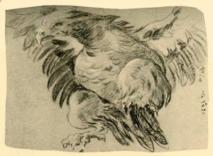 Eagle by Giovanni Battista Tiepolo