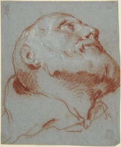 Head of a Bearded Man, Seen from Below and Looking Up by Giovanni Battista Tiepolo