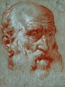Head of a Venetian Patrician, Three-Quarter Face by Giovanni Battista Tiepolo