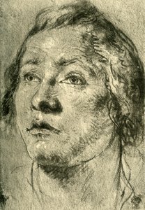 Head of a Young Man, mid 18th century by Giovanni Battista Tiepolo