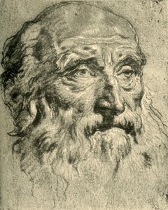 Head of an Old Man, Mid 18th Century