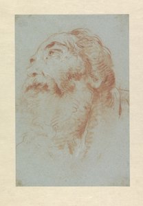 Head of an Old Man by Giovanni Battista Tiepolo