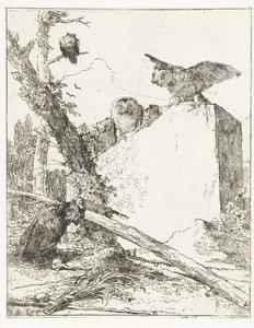 Title Print for Scherzi di Fantasia with Owls by a Stone (Scherzi di Fantasia) by Giovanni Battista Tiepolo