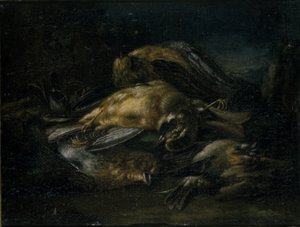 Dead Bird